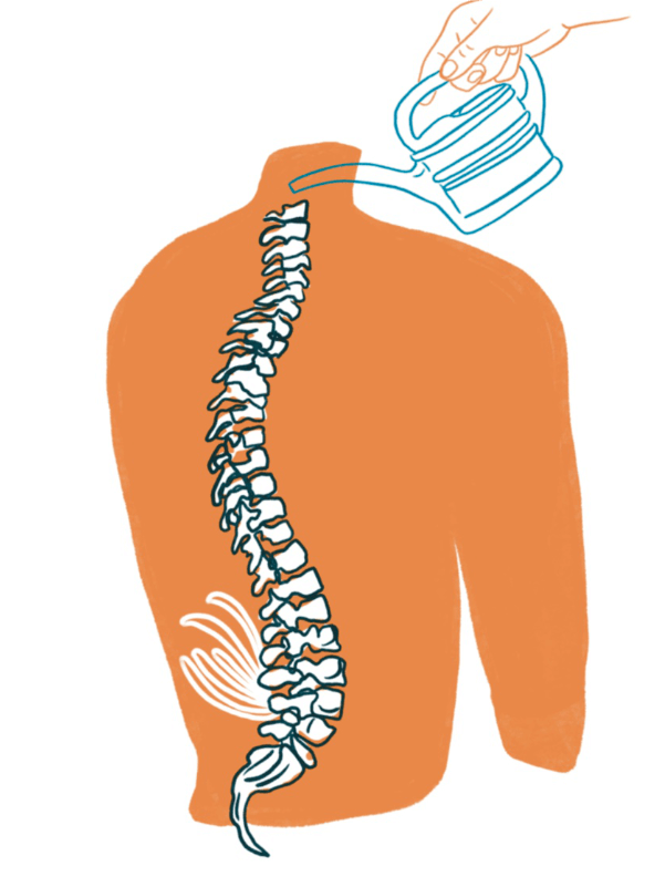 Illustration d'une colonne vertébrale